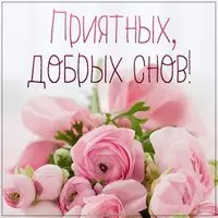 Картинка приятных добрых снов с надписью