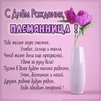 Картинка с днем рождения для племянницы
