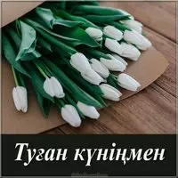 Картинка с днем рождения на казахском