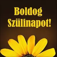 Картинка с днем рождения на венгерском языке
