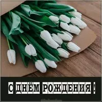 Картинка с днем рождения с белыми цветами