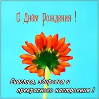 Картинка с днем рождения с цветком
