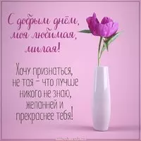 Картинка с добрым днем любимой женщине