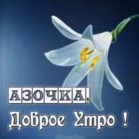 Картинка с добрым утром Аза