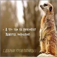 Картинка с добрым утром пятницы прикольная друзьям