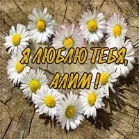 Картинка с именем Алим я тебя люблю