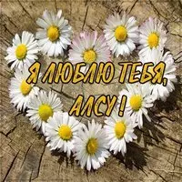 Картинка с именем Алсу я тебя люблю