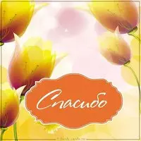 Картинка с изображением спасибо