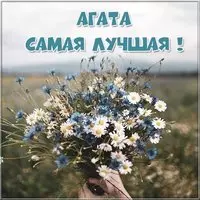 Картинка с надписью Агата лучшая