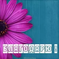 Картинка с надписью благодарю