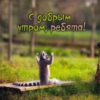 Картинка с приколом доброе утро ребята