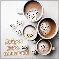 Картинка с приколом доброе утро солнышко