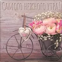 Картинка самого нежного утра