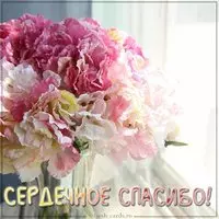 Картинка сердечное спасибо красивая