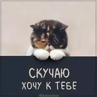 Картинка скучаю хочу к тебе прикольная