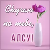 Картинка скучаю по тебе Алсу