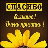 Картинка со словами спасибо большое очень приятно