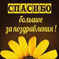 Картинка со словами спасибо большое за поздравления
