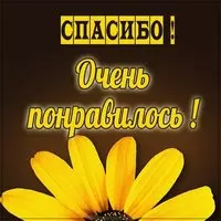Картинка со словами спасибо очень понравилось