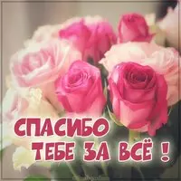 Картинка со словами спасибо тебе за все