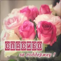 Картинка со словами спасибо за поддержку