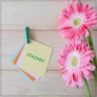 Картинка со смыслом спасибо