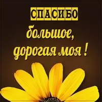 Картинка спасибо большое дорогая