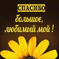 Картинка спасибо большое любимый