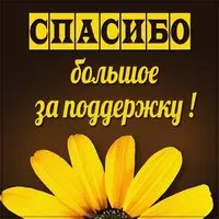 Картинка спасибо большое за поддержку