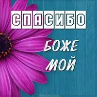 Картинка спасибо боже мой
