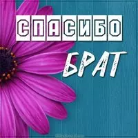 Картинка спасибо брат очень красивая