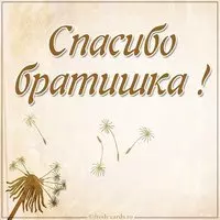 Картинка спасибо братишка красивая