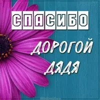 Картинка спасибо дядя