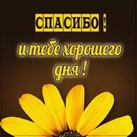 Картинка спасибо и тебе хорошего дня