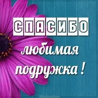 Картинка спасибо любимая подружка