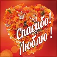 Картинка спасибо люблю