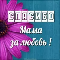 Картинка спасибо мама за любовь