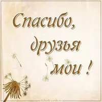 Картинка спасибо мои друзья