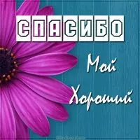 Картинка спасибо мой хороший