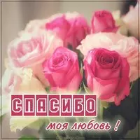 Картинка спасибо моя любовь