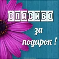 Картинка спасибо мужчине за подарок
