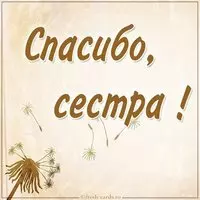 Картинка спасибо сестра