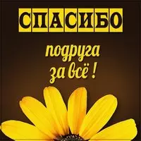 Картинка спасибо тебе за все подруга