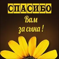 Картинка спасибо вам за сына