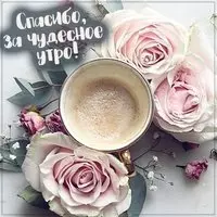 Картинка спасибо за чудесное утро