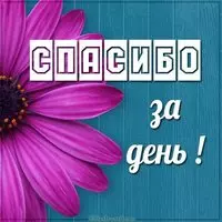 Картинка спасибо за день