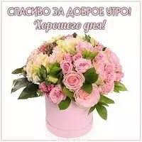 Картинка спасибо за доброе утро хорошего дня