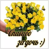 Картинка спасибо за дочь