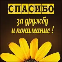 Картинка спасибо за дружбу и понимание