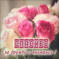Картинка спасибо за дружбу и внимание